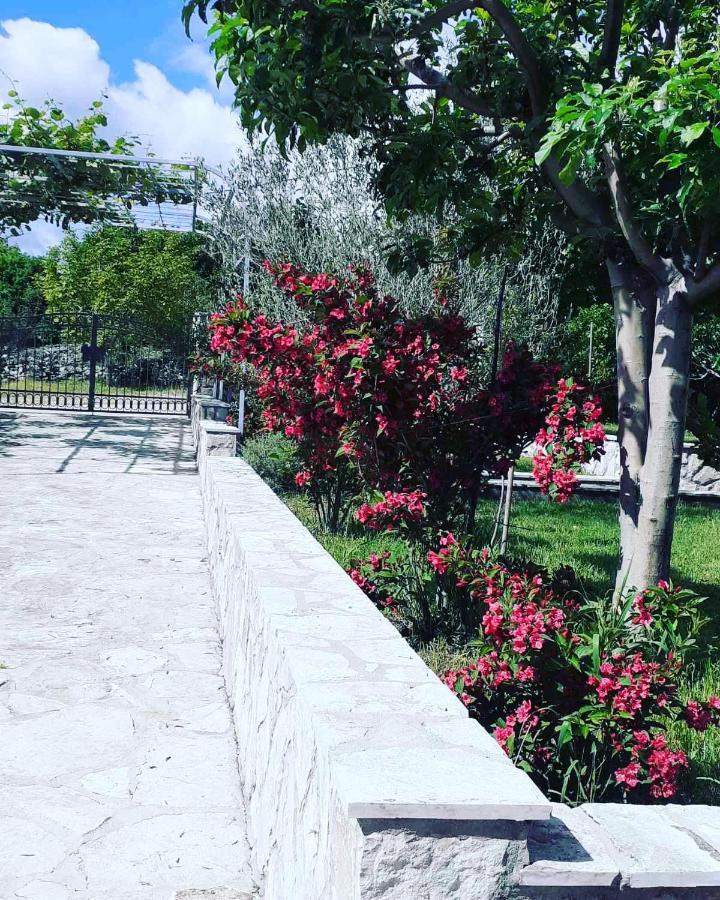 River Side Trebinje Hotel Exterior photo